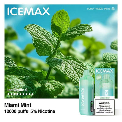 ICEMAX 12000 Puffs Disposable