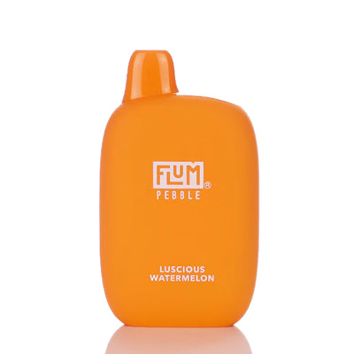 FLUM PEBBLE DISPOSABLE 5% 6000 PUFFS (TFN)